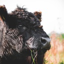 Herzensthema Nachhaltigkeit