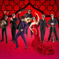 Flamenco - Rosas Negras