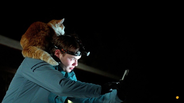 FOLKTALES - Mit Schlittenhunden ins Leben