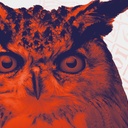 Magic Market – das ganze Museum ein Fest!