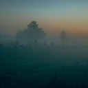 Wenn es dunkel wird...