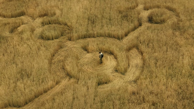 Disclosure Day - Der Tag der Wahrheit