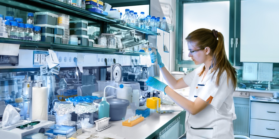 Subway eröffnet neue Filiale im Werder Karree