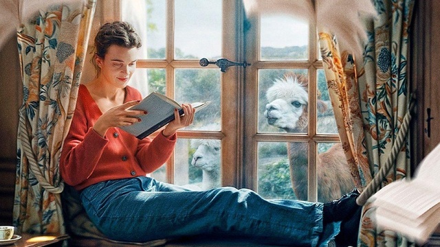 Jane Austen und das Chaos in meinem Leben