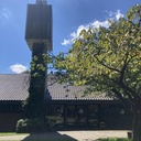 Mit Gefühl! 7 Wochen ohne Härte