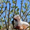 Familienfreundlicher Ostergottesdienst
