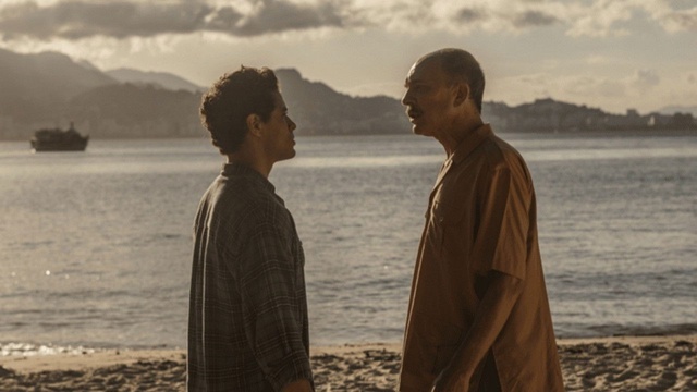 Um Lobo entre os Cisnes