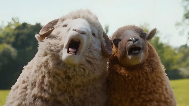 Glennkill: Ein Schafskrimi