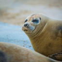 Weite und Wattenmeer