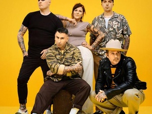 Broilers