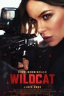 Wildcat