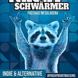 Nachtschwaermer