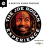 The Joe Rogan Experience