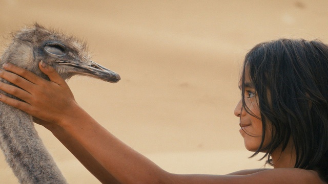 L’Enfant du Désert