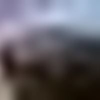 Lange Nacht der Museen Bremen