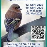 Vogelstimmen lernen