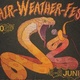 Fair Weather Fest