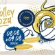 VolleyPalooza - das Volleyballturnier am Weichelsee
