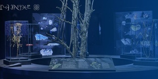 Magische Momente – Motto-Event zur Sonderausstellung “Magie”