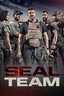 SEAL Team
