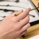 Sumi-e – traditionelle japanische Tuschemalerei