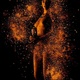 Silvester