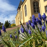 Geh aus, mein Herz... - Orgelkonzert in St. Johannis Arbergen