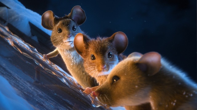 Mission: Mäusejagd – Chaos unterm Weihnachtsbaum