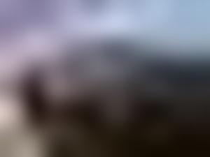 Lange Nacht der Museen Bremen