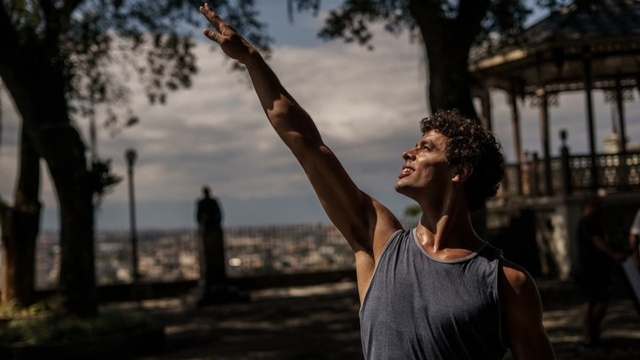 Um Lobo entre os Cisnes