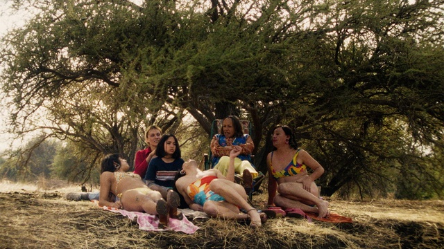 Der geheimnisvolle Blick des Flamingos