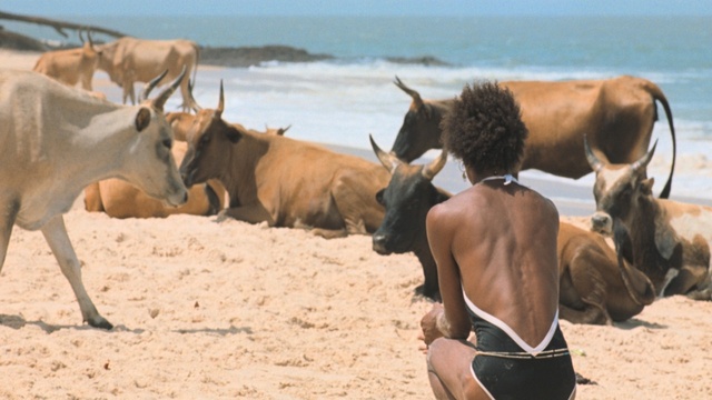 I Only Rest in the Storm