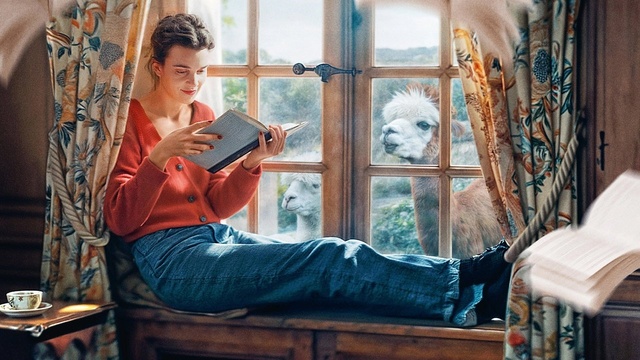 Jane Austen und das Chaos in meinem Leben