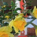 Gottesdienst für Kleine und Große