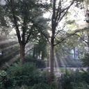 Angst verstehen – Urkraft oder Hemmschuh?