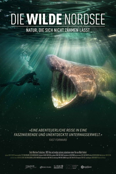 Die wilde Nordsee