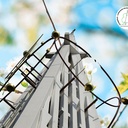 Gottesdienst zu Himmelfahrt in Brundorf