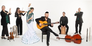 Daniel Martinez Flamenco Company "Andalucia - Flamenco"