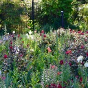 Im Garten des Lebens