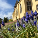 Geh aus, mein Herz... - Orgelkonzert in St. Johannis Arbergen
