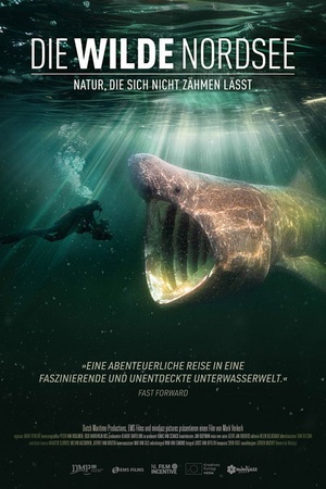 Die wilde Nordsee