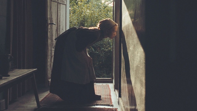 In die Sonne schauen