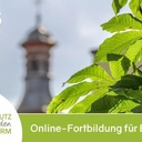 Energiemanagement - Was bringts?