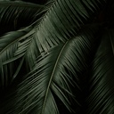 Passionsandacht in Tenever