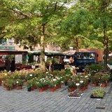Wochenmarkt Kreyenbrück