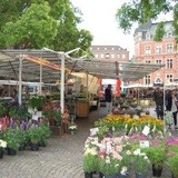 Wochenmarkt Rathausmarkt