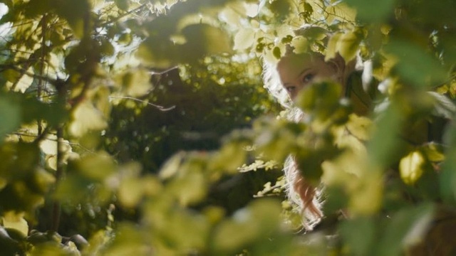 Der Wunderweltenbaum