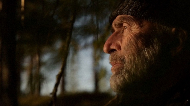 Das Flüstern der Wälder