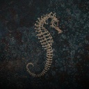 Hellseatic Festival 2026