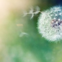 Verwundbar & lebendig sein